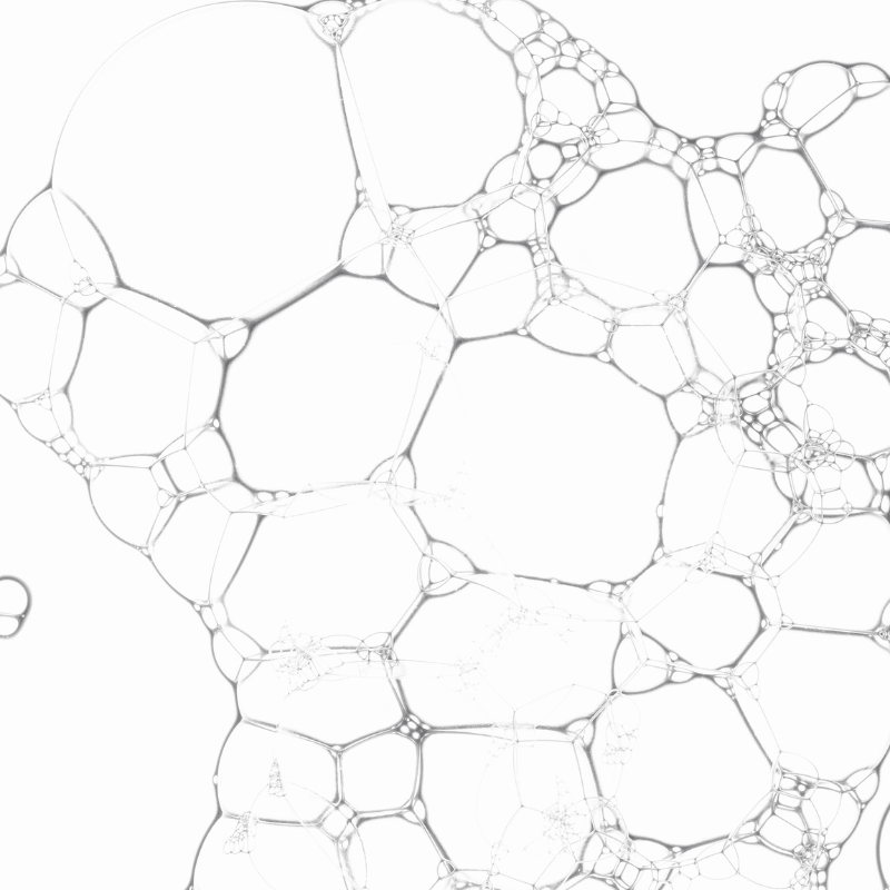 Mikroskopische Aufnahme einer netzartigen, zellulären Struktur aus feinen grauen und schwarzen Linien auf weißem Hintergrund.